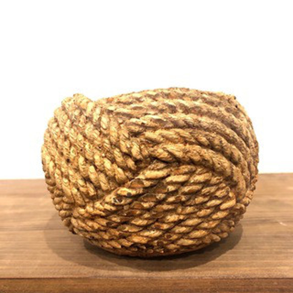 シュガーバイン　ロープ編み模様　陶器鉢　観葉植物　インテリア　ギフト　引っ越し 5枚目の画像