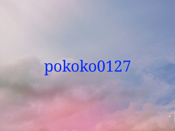 pokoko0127様専用 1枚目の画像