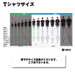  第11張的照片