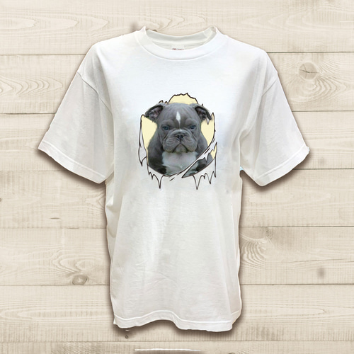 半袖Tシャツワンちゃん破れたTシャツ 顔出しワンちゃん おもしろ