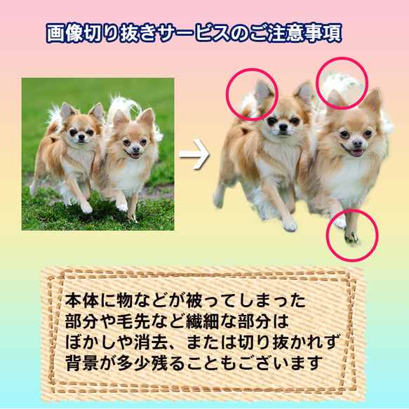 iphoneアクリルパネルケース 犬の写真オリジナル加工デザイン 総柄 かわいいワンちゃんの柄 トイプードル チワワ 4枚目の画像