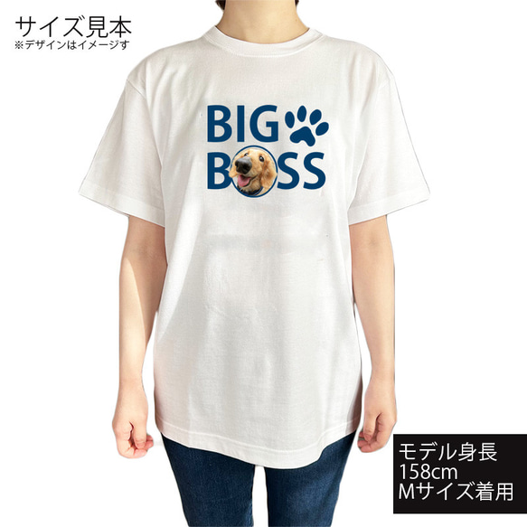 半袖TシャツワンちゃんビッグボスT 顔出しワンちゃん おもしろペット トイプードル ミニチュア パステルカラー 2枚目の画像