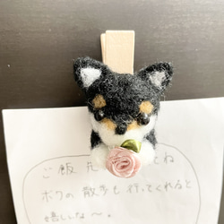 黒柴ちゃんのピンチ型マグネット 3枚目の画像