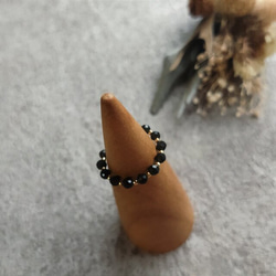 zinnia    オブシディアン 4枚目の画像