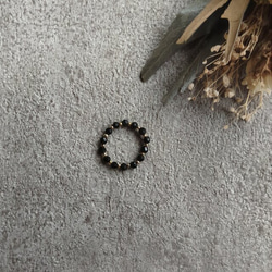 zinnia    オブシディアン 2枚目の画像