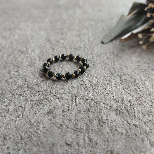 zinnia    オブシディアン 1枚目の画像