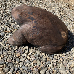 木のカエル　ディスプレイ用　置物　縁起物　チェーンソー仕上げ　吉野杉　焼き杉　ハンドメイド 4枚目の画像