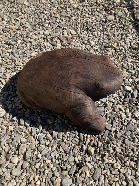 木のカエル　ディスプレイ用　置物　縁起物　チェーンソー仕上げ　吉野杉　焼き杉　ハンドメイド 2枚目の画像