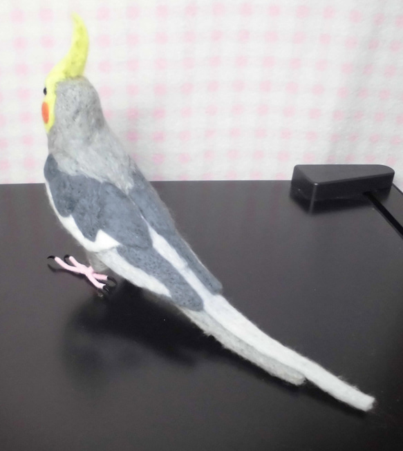 ***現實大小♪玄鳳鸚鵡normal（雞尾鸚鵡）☆羊毛氈***Cockatiel　normal 第5張的照片