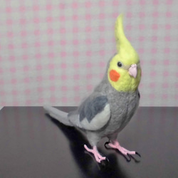 羊毛フェルト リアル オカメインコ ノーマル（オス）ほぼライフサイズ 羊毛フェルト 受注製作 1枚目の画像