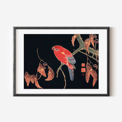 コスモス（美人画・A2サイズ） コスモス（美人画・A2サイズ） コスモス（美人画・A2サイズ