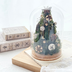 ガラスドームツリー プリザーブドフラワー 花結 通販 14844312｜Creema