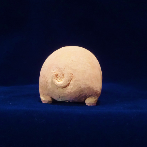sam-h-buta1.jpg