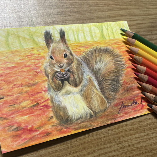 原画】「エゾリスの冬支度」色鉛筆画 ハガキサイズ 絵画 LUCKEYPEN工房