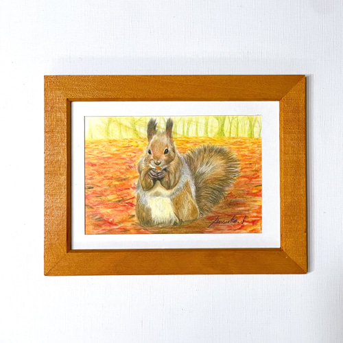 原画】「エゾリスの冬支度」色鉛筆画 ハガキサイズ 絵画 LUCKEYPEN工房