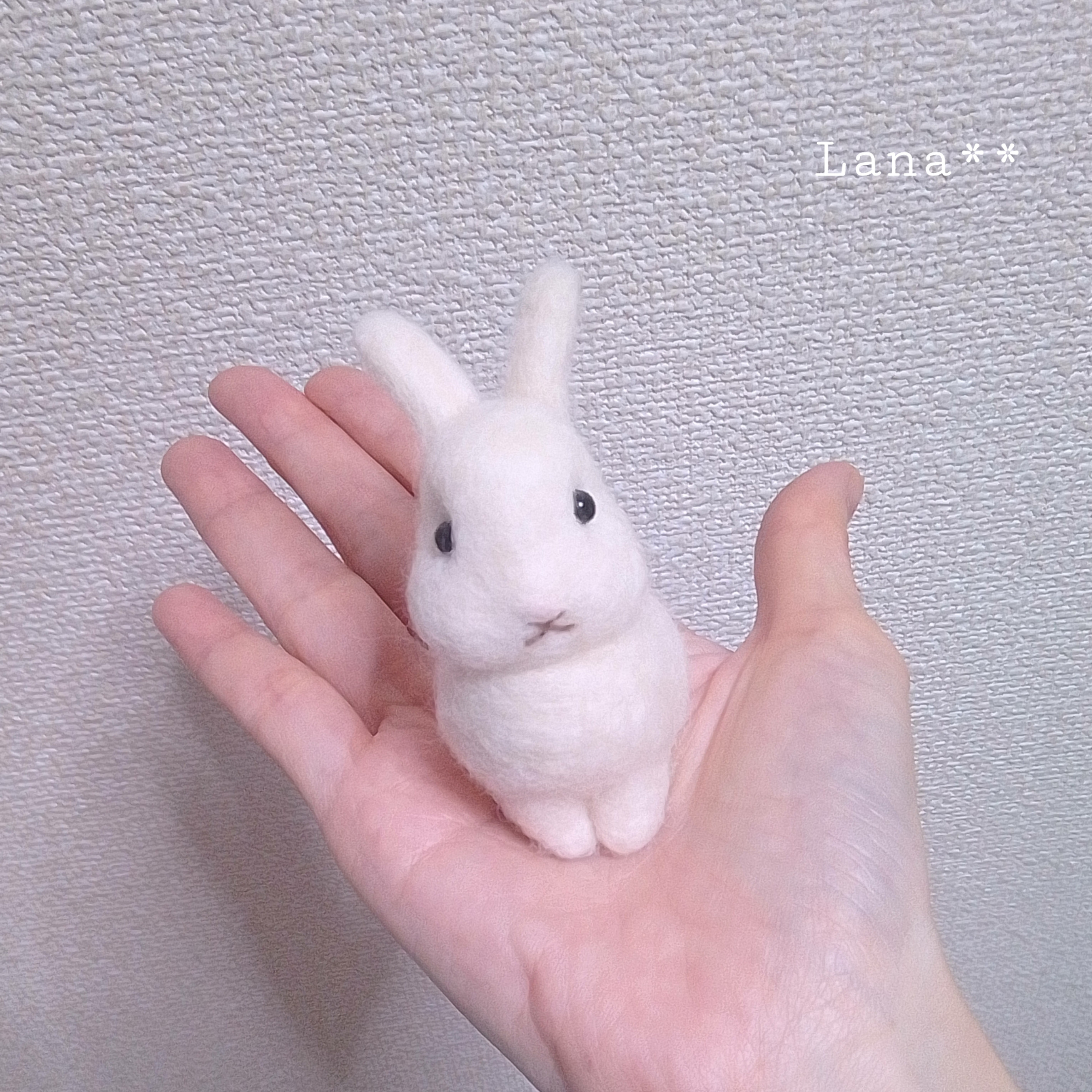 羊毛フェルト　華やかなデッカちゃん2体　ウサギのdoll