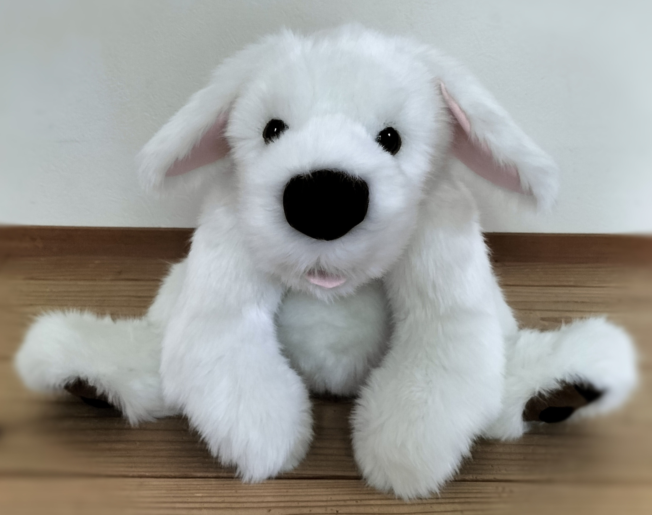 ニニアンドキノ トイプードル ぬいぐるみ ホワイト ニニアンドキノ