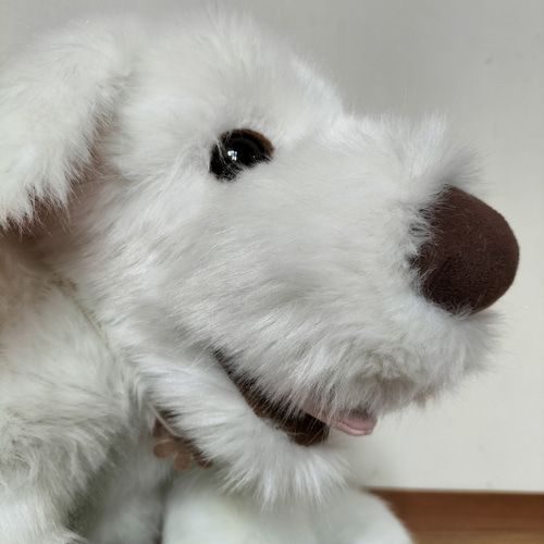 感動する抱き心地。命の重みを感じるぬいぐるみ【シロラン（白