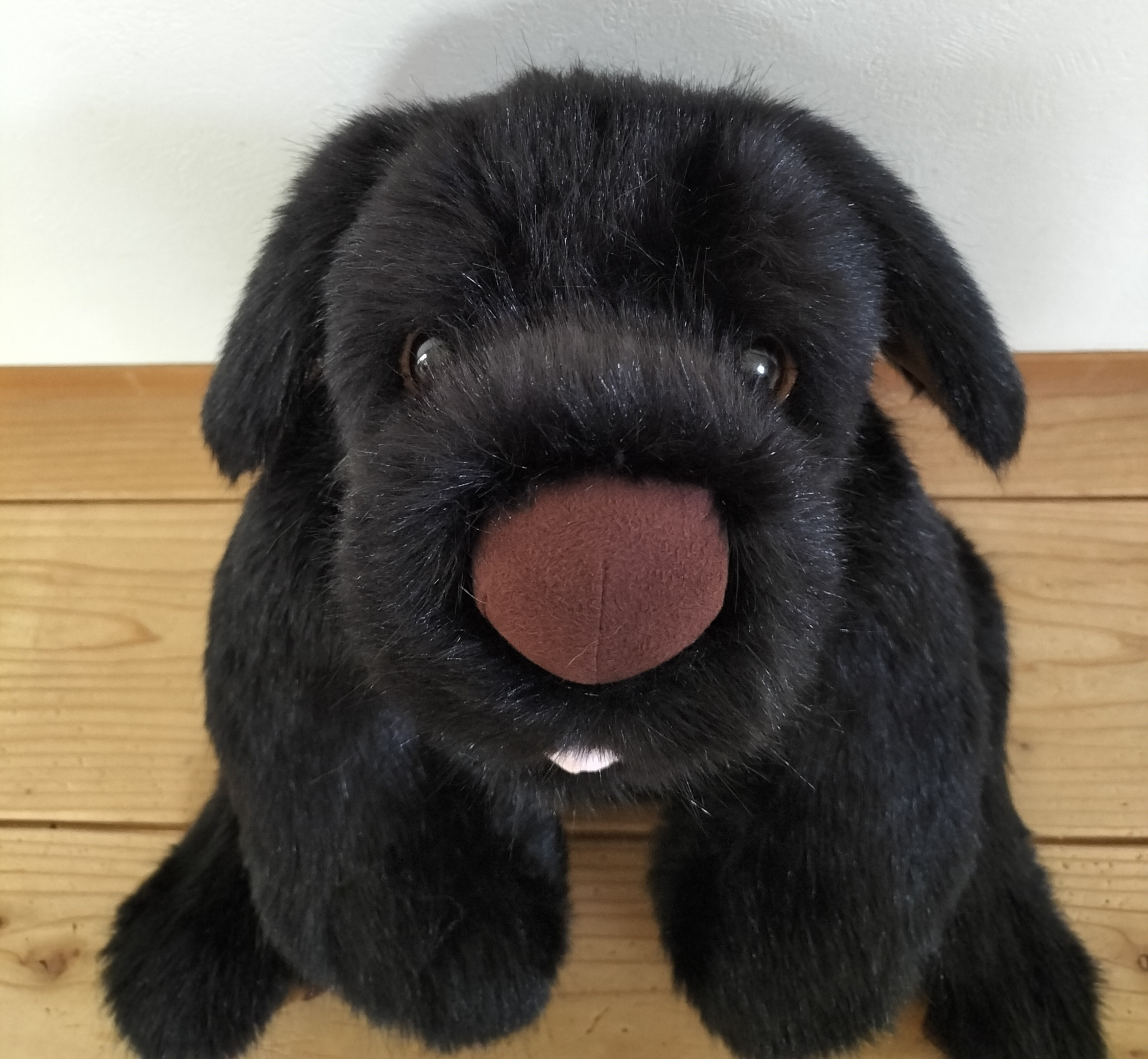 【ビッグサイズ！4100g】感動する抱き心地。命の重みを感じるぬいぐるみ【クロラン（黒）】/ペットロス/リアル/犬