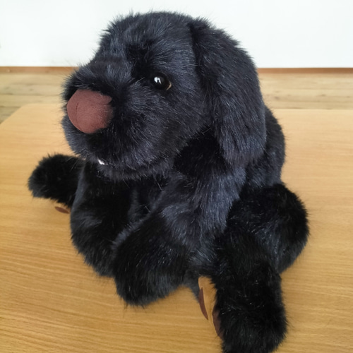 【激レア！】INFINITE ソンヨル　犬　ぬいぐるみ 激レア！】INFINITE ソンヨル 犬 ぬいぐるみ - メルカリ