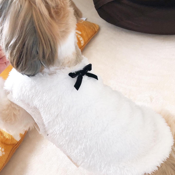 ベロアリボンのモコモコタンクトップ 犬服 ペット服 わんこ服 フレブル服 ペットグッズ チワワ トイプードル シーズー 5枚目の画像