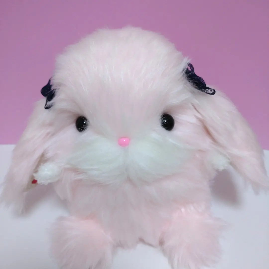 ブライス公式サイト | blythedoll.com