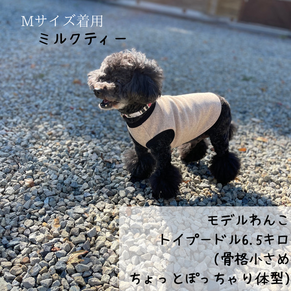 ケリーストレッチポンチニット 暖か ドッグウェア 犬服 ウール混 4枚目の画像