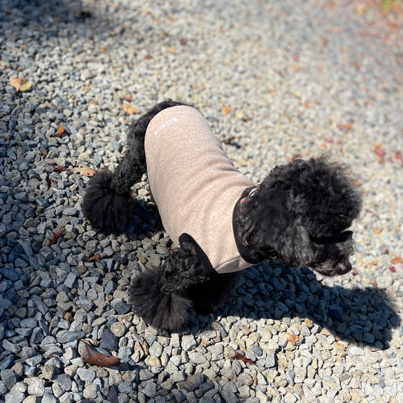 ケリーストレッチポンチニット 暖か ドッグウェア 犬服 ウール混 5枚目の画像