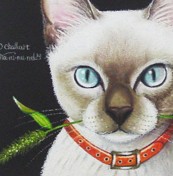 「また一緒に出かけようね！」のネコさん・猫じゃらし・トンキニーズ・キラキラ目・スリム・パステル画・一点物・フレーム付き 2枚目の画像