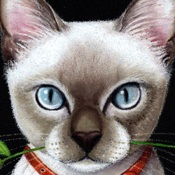 「また一緒に出かけようね！」のネコさん・猫じゃらし・トンキニーズ・キラキラ目・スリム・パステル画・一点物・フレーム付き 4枚目の画像