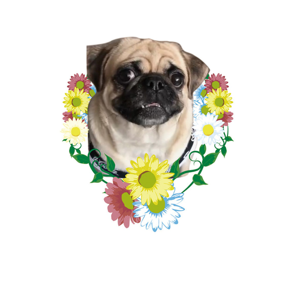 半袖Tシャツワンちゃん 顔出しワンちゃん かわいい飾り枠イラスト 花束 ブーケ ポメラニアン ペットの写真で作る Dog 3枚目の画像