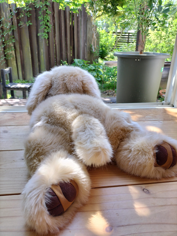 感動する抱き心地。命の重みを感じるぬいぐるみ・パトラン（ベージュ）/ペットロス/ゴールデンレトリバー/リアル/犬 お座りの状態 感動する抱き心地 パトラン パトランは