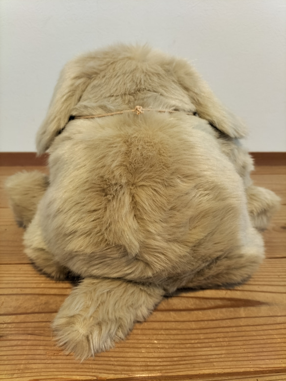 感動する抱き心地。命の重みを感じるぬいぐるみ・パトラン（ベージュ）/ペットロス/ゴールデンレトリバー/リアル/犬 お座りの状態 感動する抱き心地 パトラン パトランは