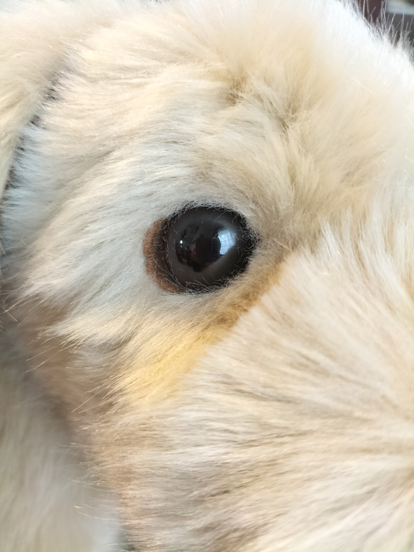 感動する抱き心地。命の重みを感じるぬいぐるみ・パトラン（ベージュ）/ペットロス/ゴールデンレトリバー/リアル/犬 お座りの状態 感動する抱き心地 パトラン パトランは