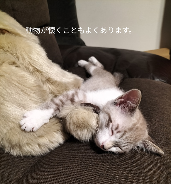 感動する抱き心地。命の重みを感じるぬいぐるみ・パトラン（ベージュ）/ペットロス/ゴールデンレトリバー/リアル/犬 お座りの状態 感動する抱き心地 パトラン パトランは