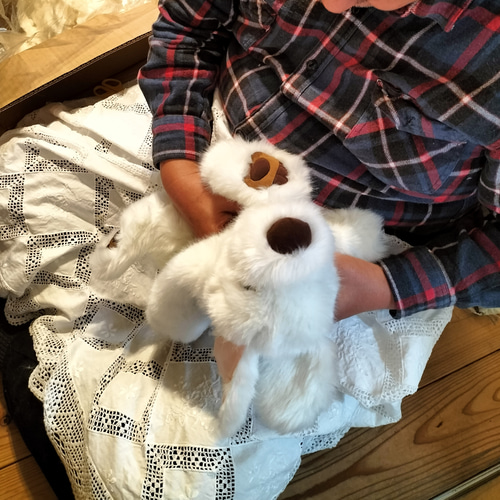 感動する抱き心地。命の重みを感じるぬいぐるみ・パトラン 感動する抱き心地。命の重みを感じるぬいぐるみ・パトラン