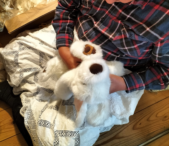 感動する抱き心地。命の重みを感じるぬいぐるみ・パトラン（