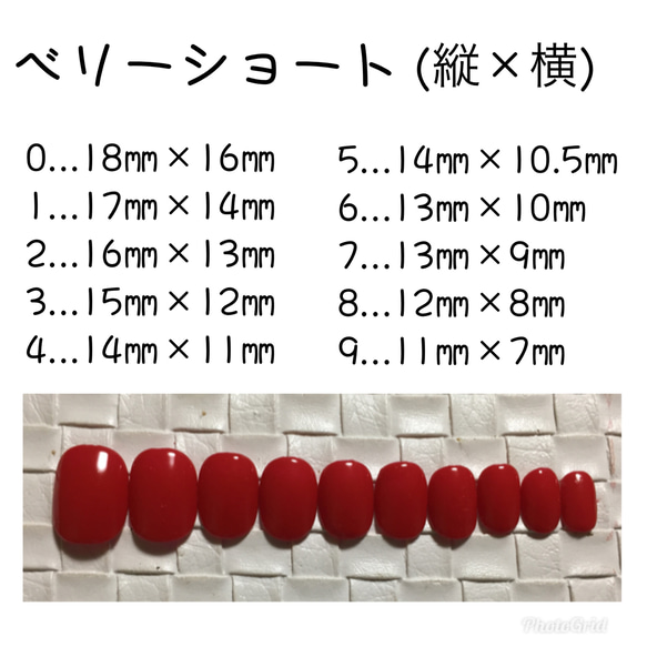 計測用チップ 2枚目の画像