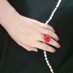 Red Rose Ring 第4張的照片