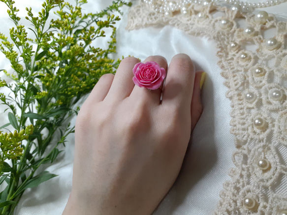 Climbing Rose Pierre de Ronsard Ring 第5張的照片