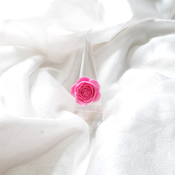 Climbing Rose Pierre de Ronsard Ring 第7張的照片