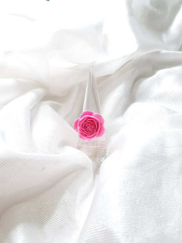 Climbing Rose Pierre de Ronsard Ring 第7張的照片