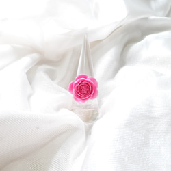 Climbing Rose Pierre de Ronsard Ring 第3張的照片