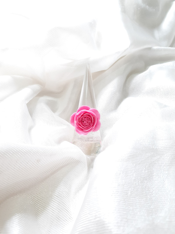 Climbing Rose Pierre de Ronsard Ring 第3張的照片