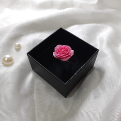 Climbing Rose Pierre de Ronsard Ring 第8張的照片