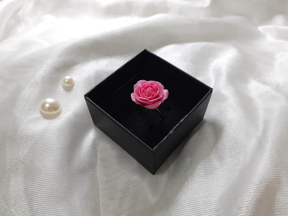 Climbing Rose Pierre de Ronsard Ring 第8張的照片