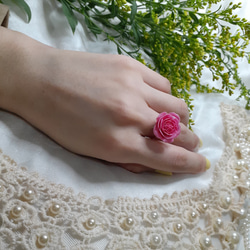 Climbing Rose Pierre de Ronsard Ring 第2張的照片