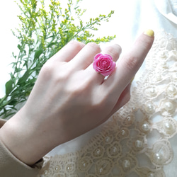 Climbing Rose Pierre de Ronsard Ring 第6張的照片