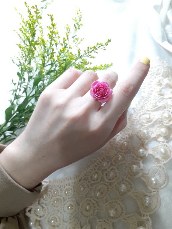 Climbing Rose Pierre de Ronsard Ring 第6張的照片