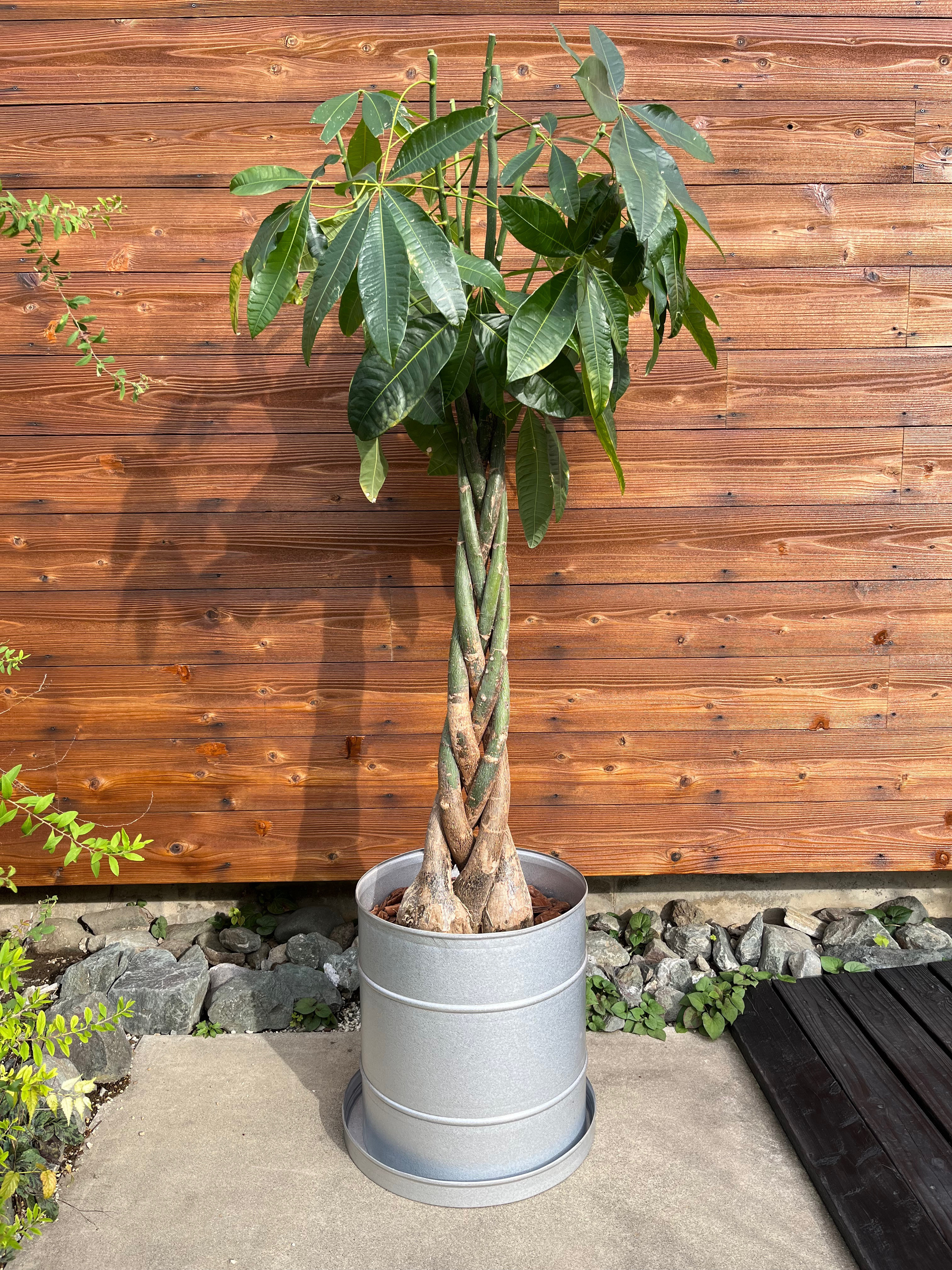 植木鉢　鉢　鉢カバー　ガルバニウム